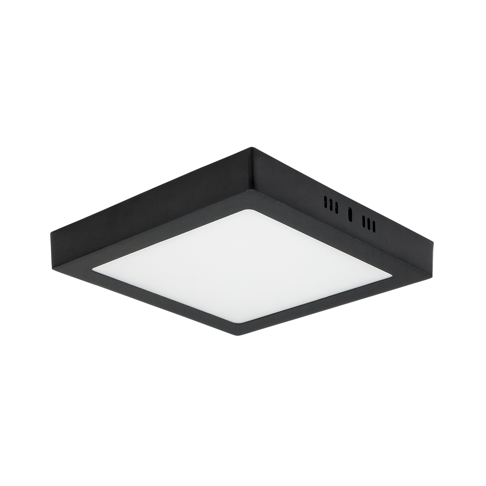 L2418F