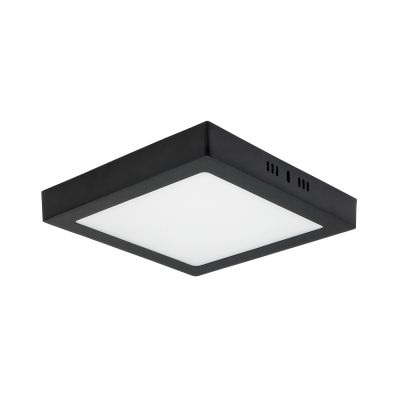 L2418C